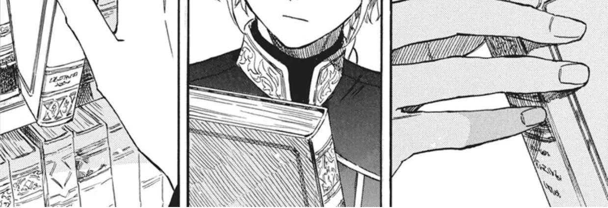 Akagami No Shirayukihime Chapter 144 - page 30