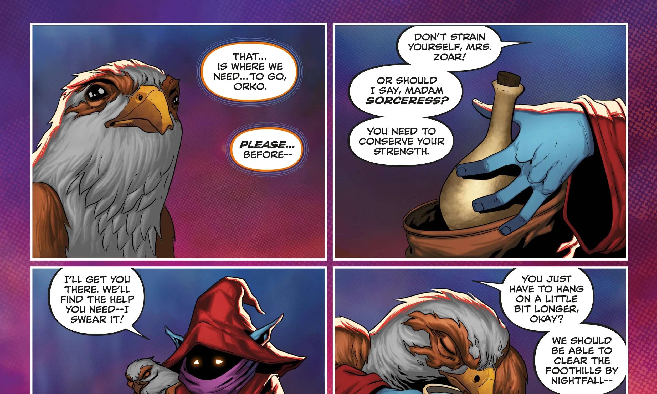 He-Man and the Masters of the Universe: The Wings of Fate Chapter 2 - page 13