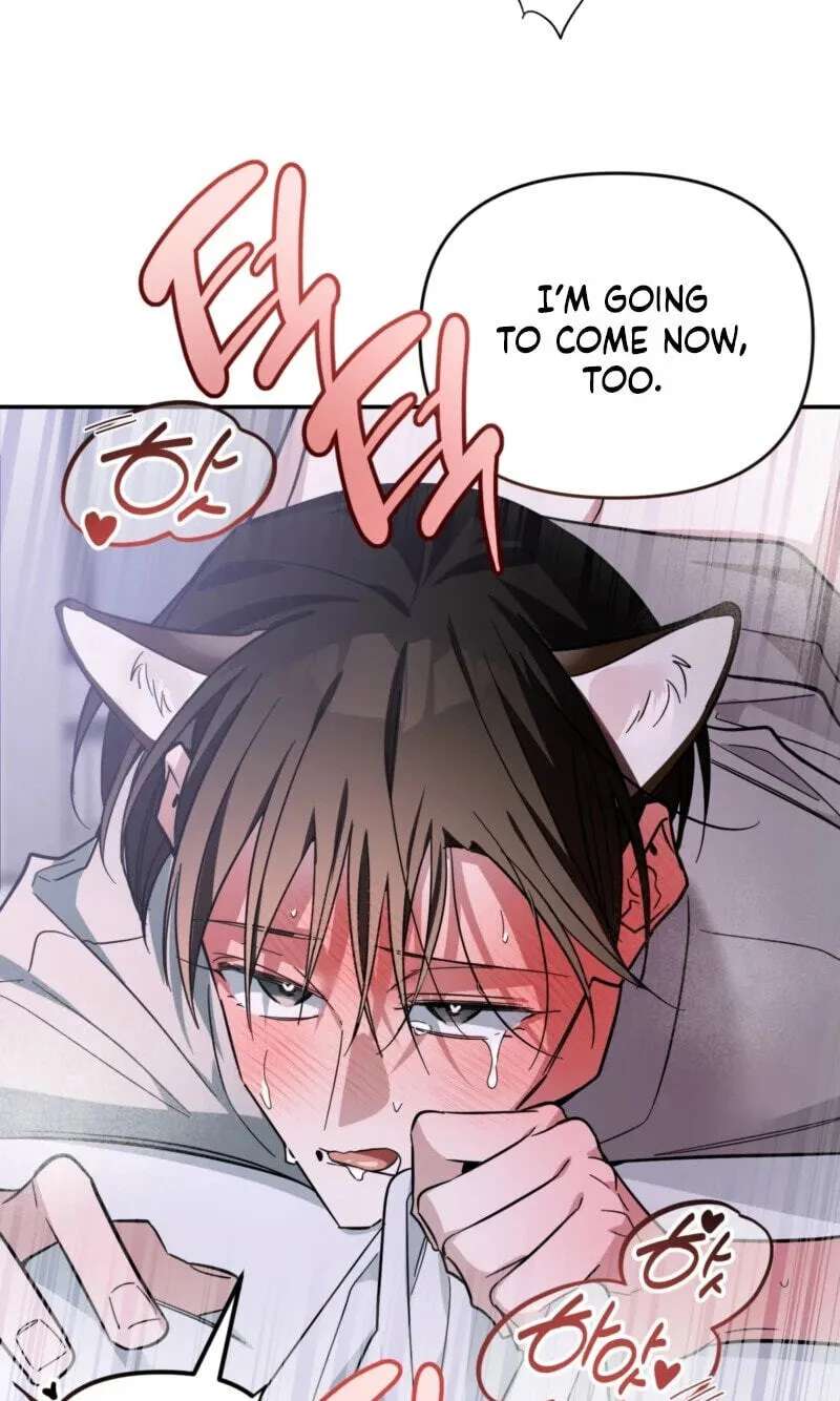 Give Birth to a Baby Wildcat for Me, Unless You Want to See Me Go Insane! Chapter 37 - page 61