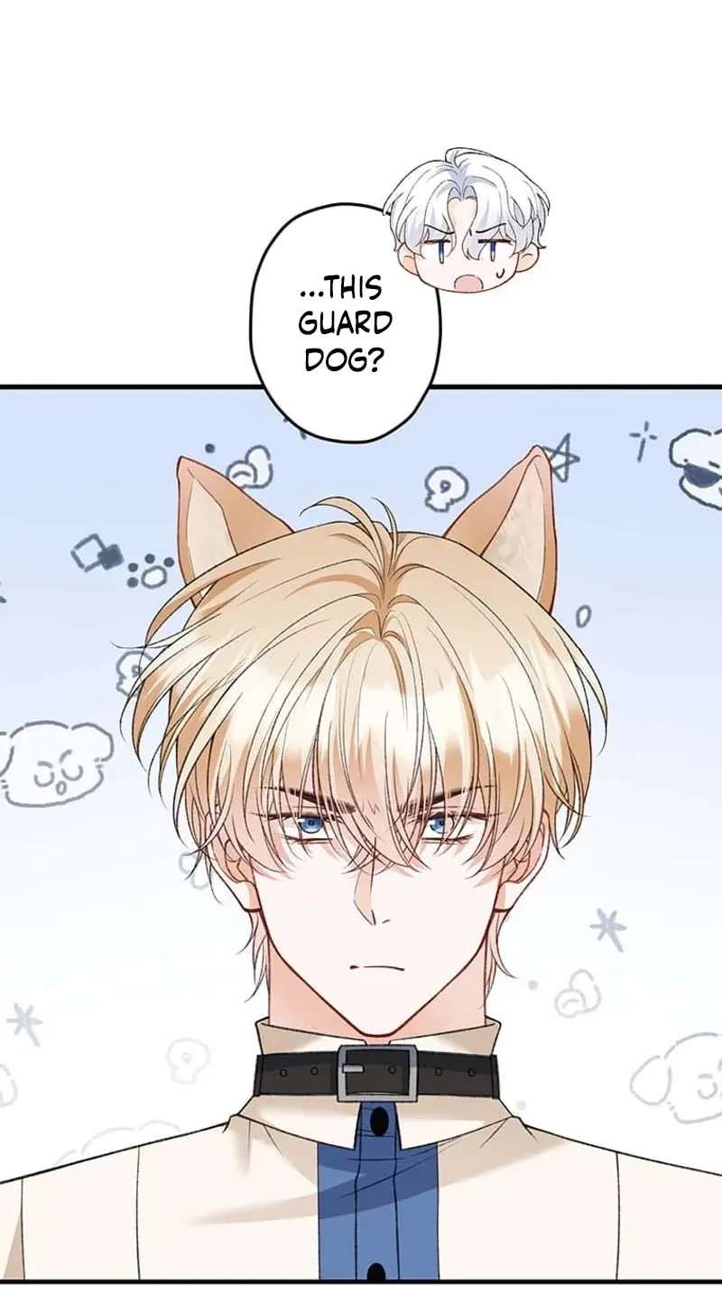 The Amnesiac Hound's Endless Obsession Chapter 17 - page 25