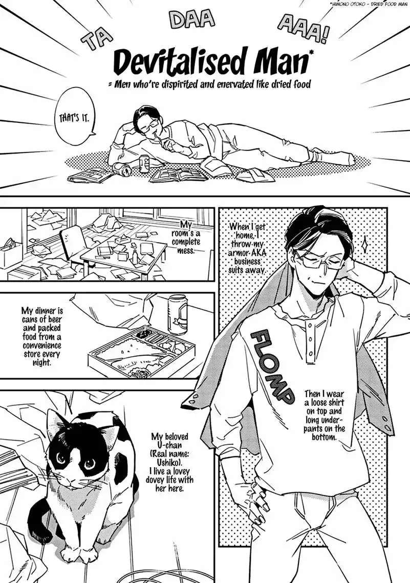 Meiga no You ni Koi wo Chapter 1 - page 11