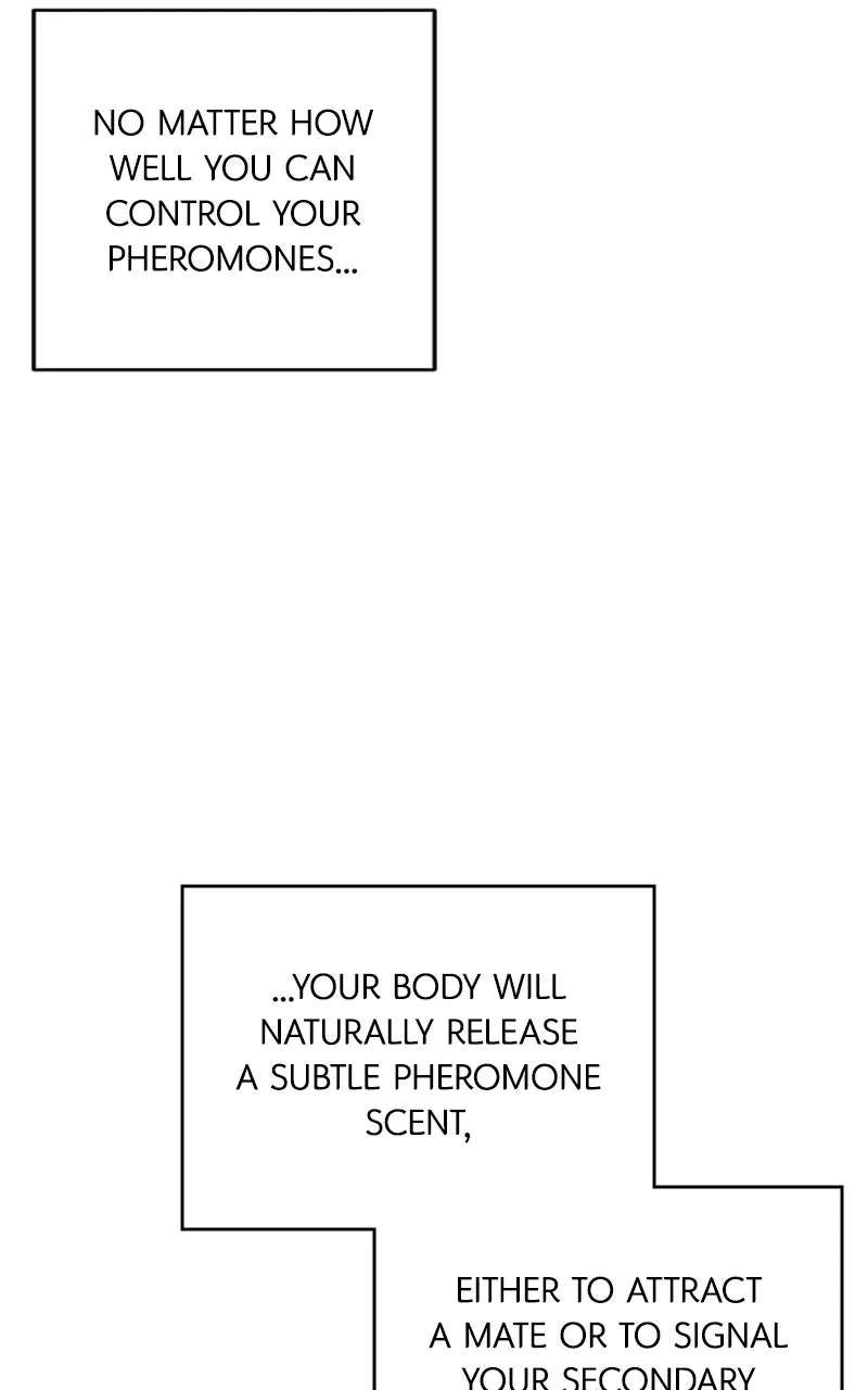 How to Win Overan Alpha Male Chapter 2 - page 8