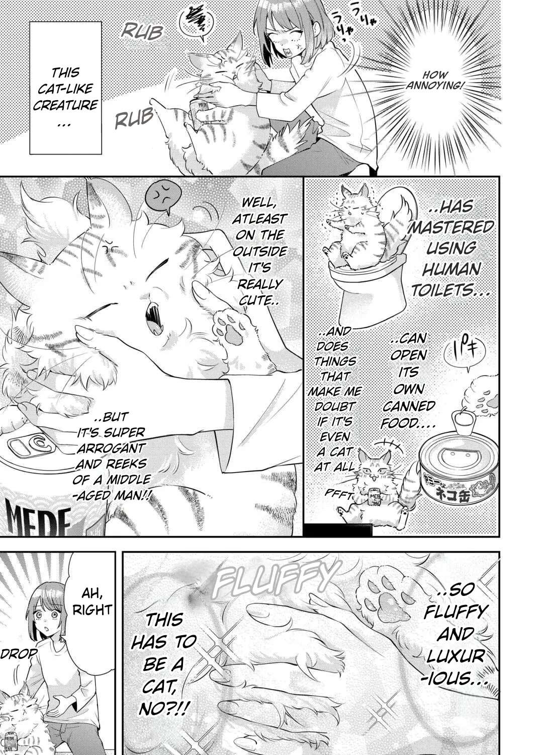 Is the Cat I Picked Up Really a Cat? Chapter 1 - page 26