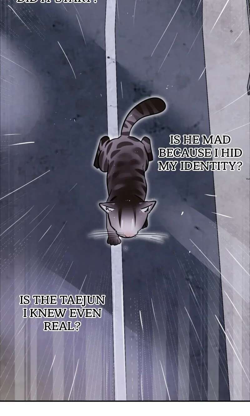 Give Birth to a Baby Wildcat for Me, Unless You Want to See Me Go Insane! Chapter 38 - page 87