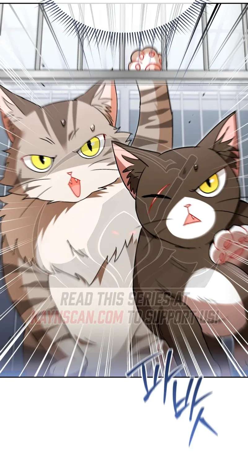 Hello! Veterinarian! Chapter 146 - page 73