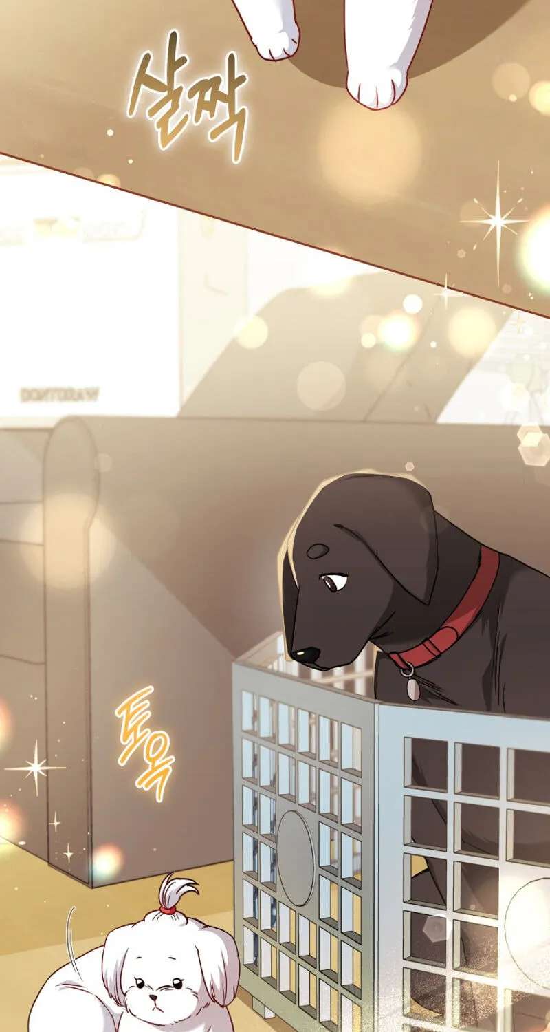 Hello, Mr. Veterinarian! Chapter 145 - page 35