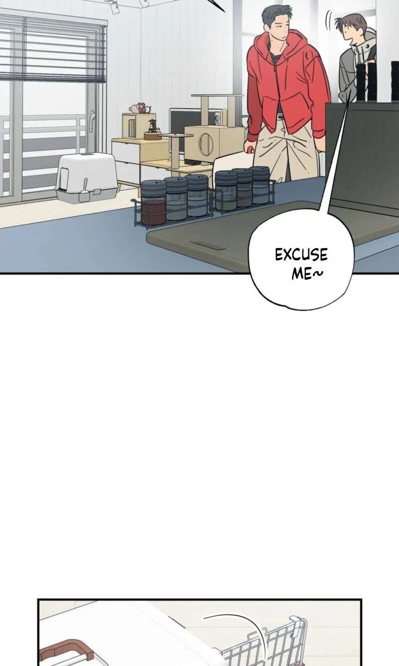 Cat Choice Chapter 29 - page 61
