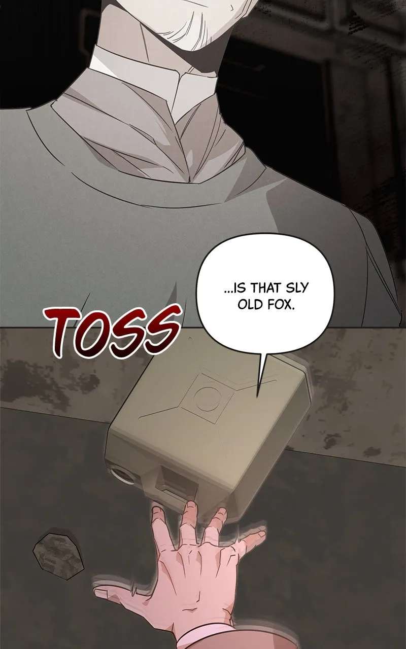 Where the Golden Rose was Plucked Chapter 45 - page 18