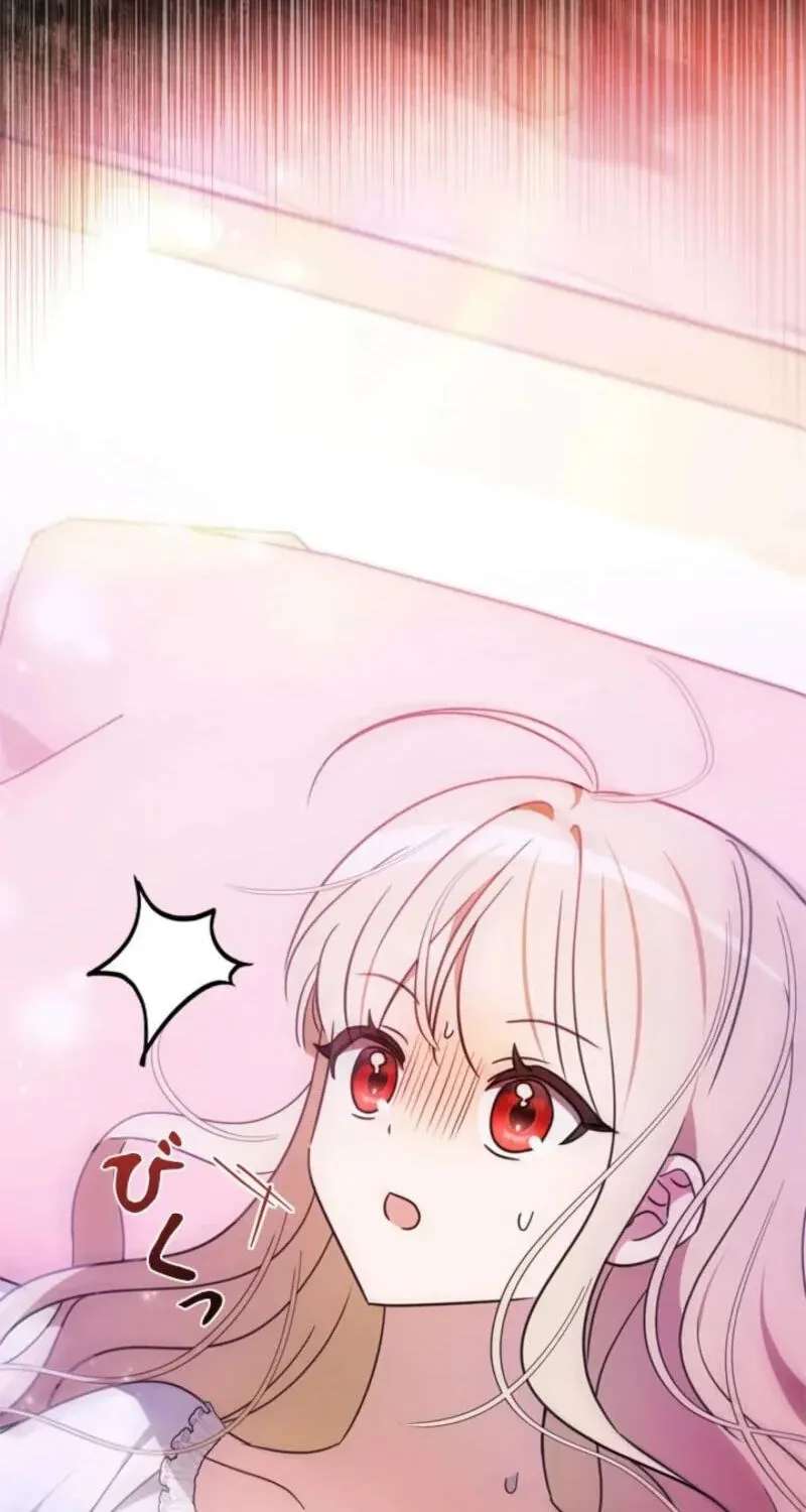The Count's Beloved Contract Young Lady Chapter 45 - page 46