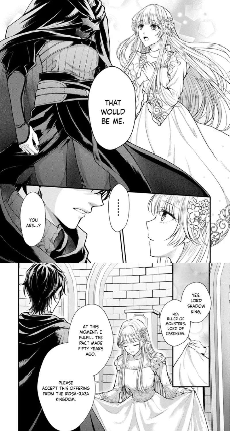 The Happiness of the Sacrificial Princess ~The Lonely Sacrificial Girl Becomes the Bride of the Demon King~ Chapter 1 - page 35