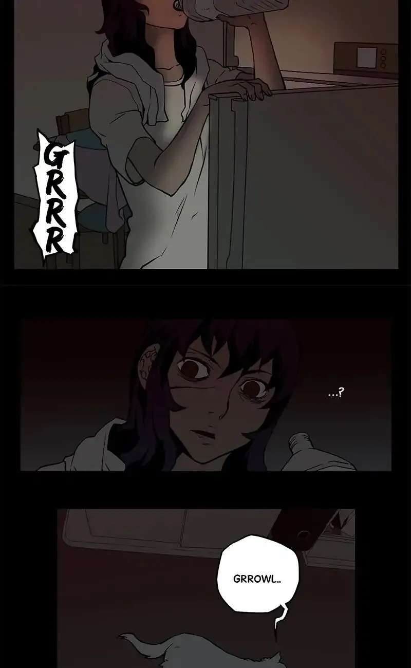 0.0 Mhz Chapter 20 - page 31
