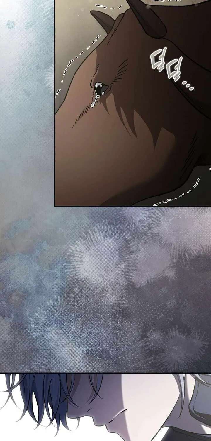 Margrave’s Bastard Son Was The Emperor Chapter 124 - page 11