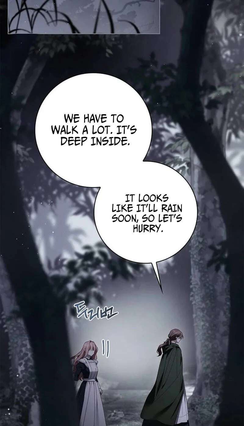 The Count's Secret Maid Chapter 106 - page 81