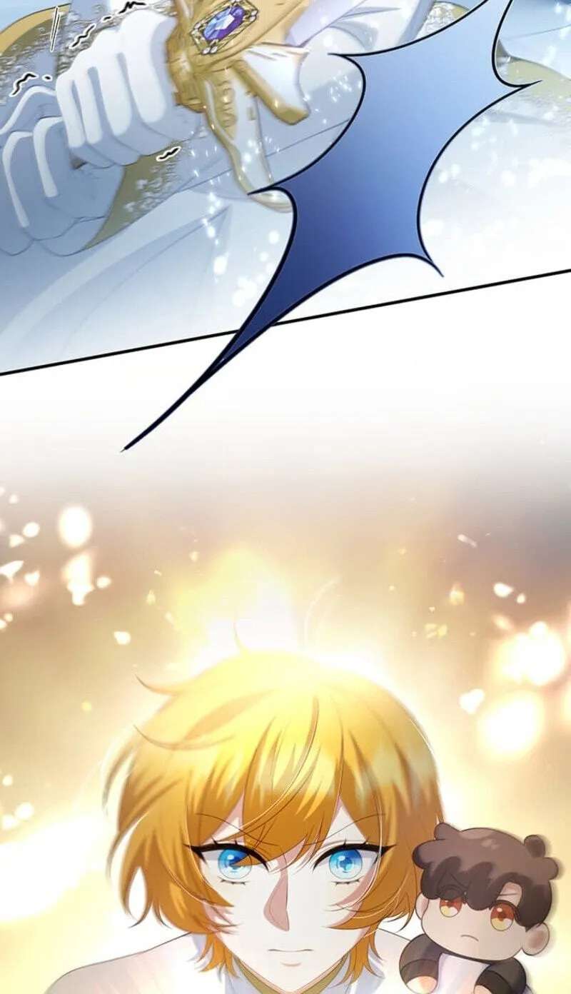 Seiken Reijou no Kareinaru Oshi Katsu ~Aisuru Kishi wa Watashi ga Zenryoku de Mamorimasu~ Chapter 27 - page 95