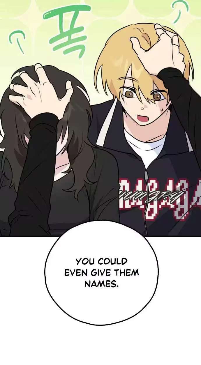 Horror Romance Chapter 32 - page 62