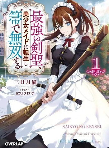 Sword Saint Reborn as a Maid, Ruling with a Broom.