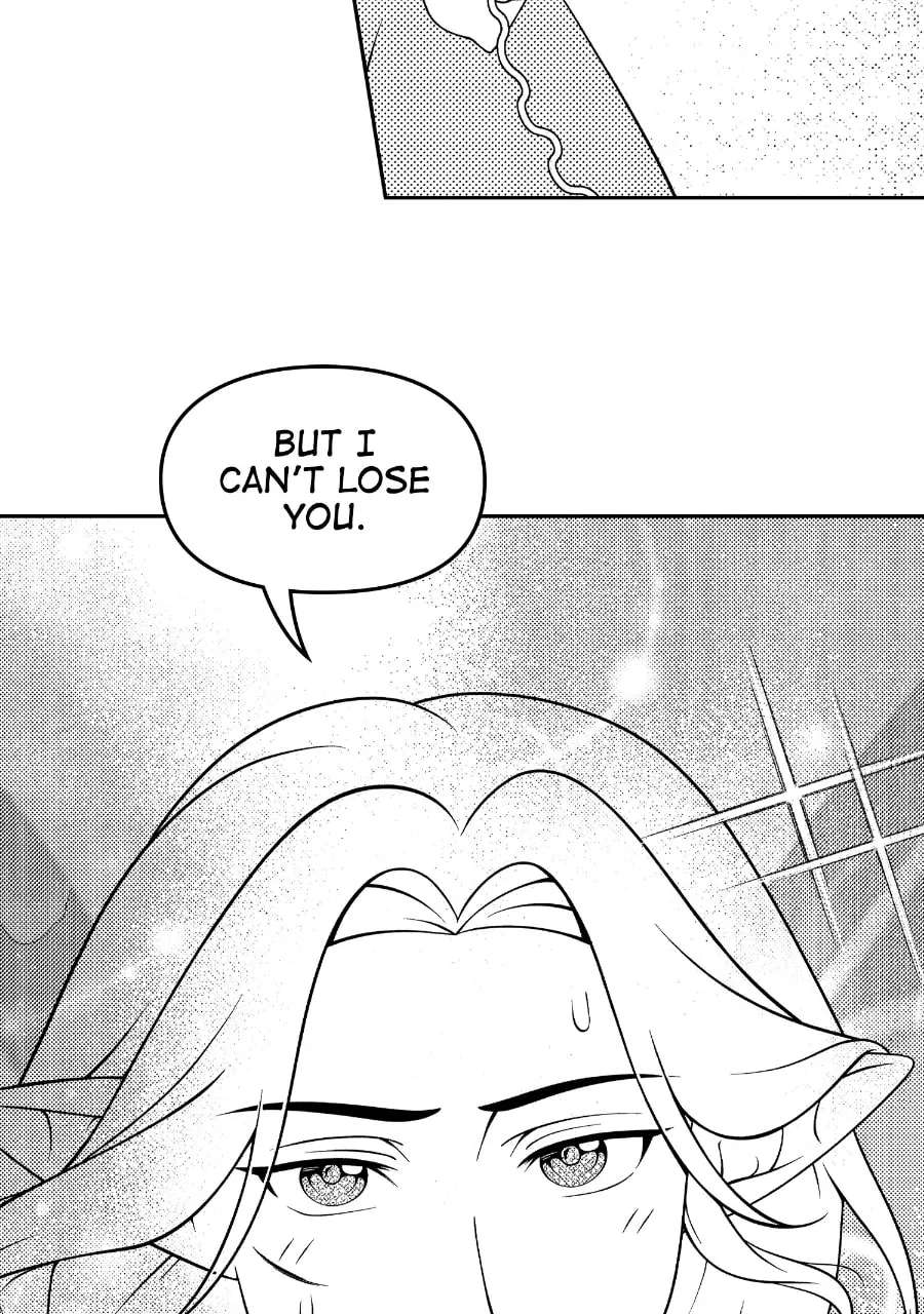 Wings of Starlight Chapter 30 - page 14