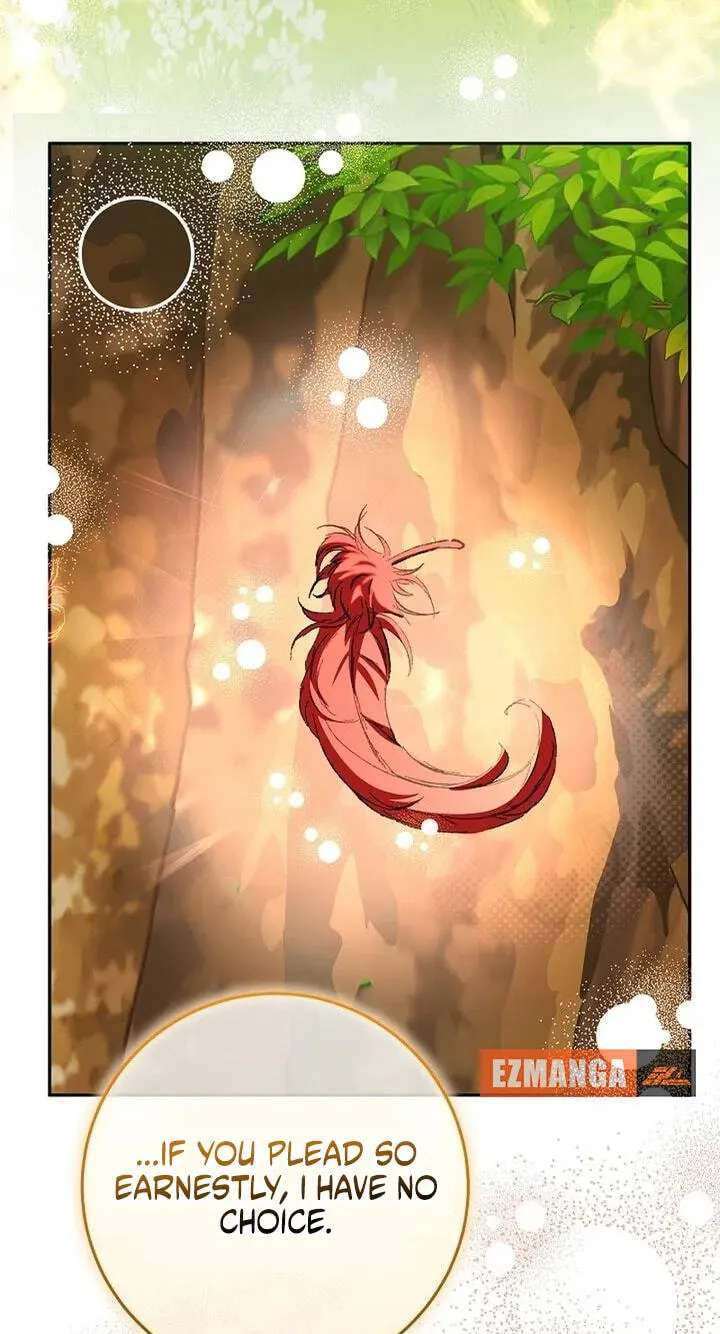Little Red Baby Bird Chapter 86 - page 12