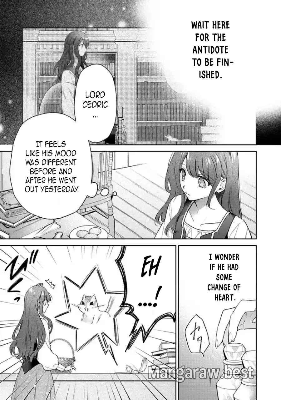My Fiancé, Who Used to Hate Me, Turned into a Squirrel and Came to Me for Help. Chapter 5 - page 6