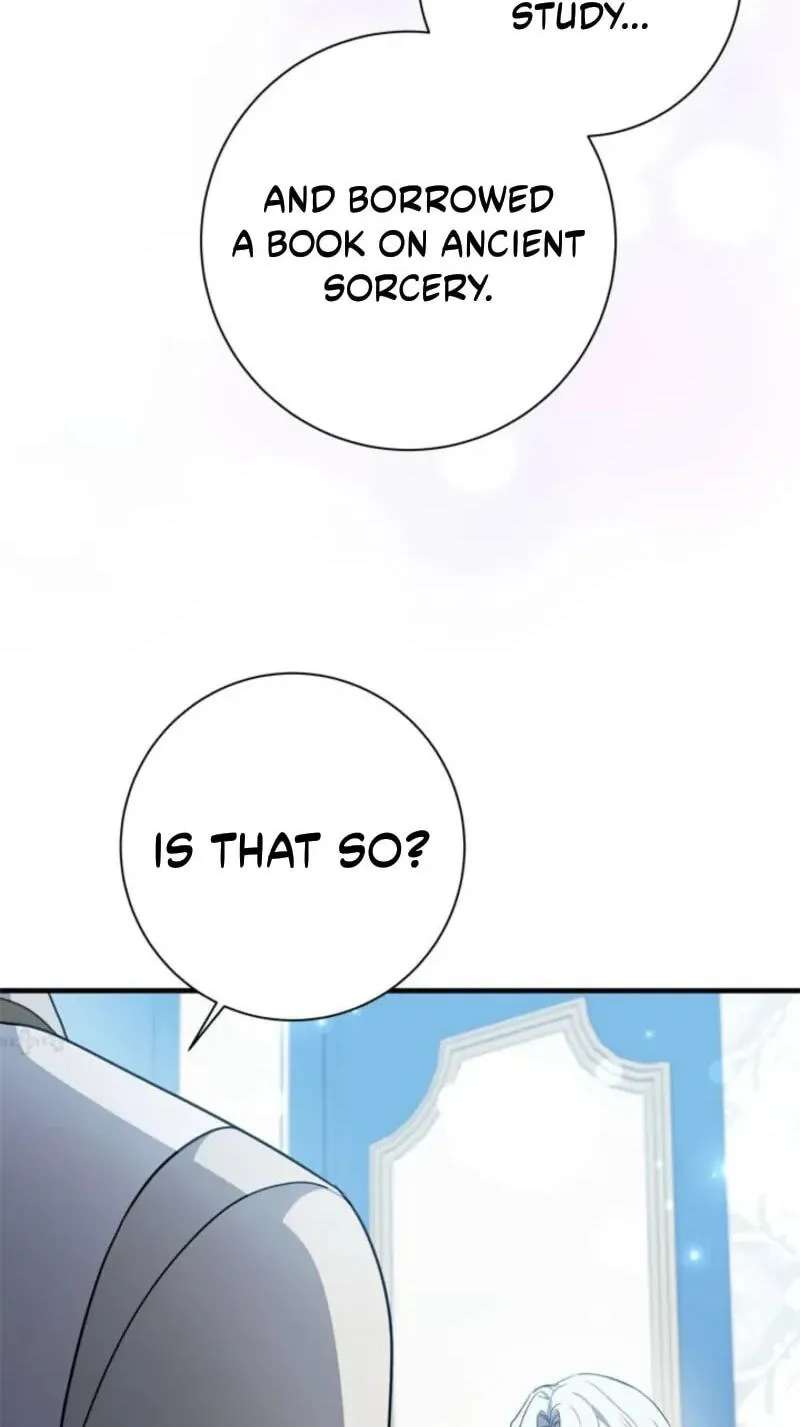 The Count's Beloved Contract Young Lady Chapter 47 - page 42