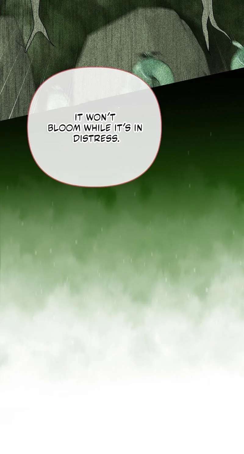 Why Yuria Hid Her Wealth Chapter 79 - page 6