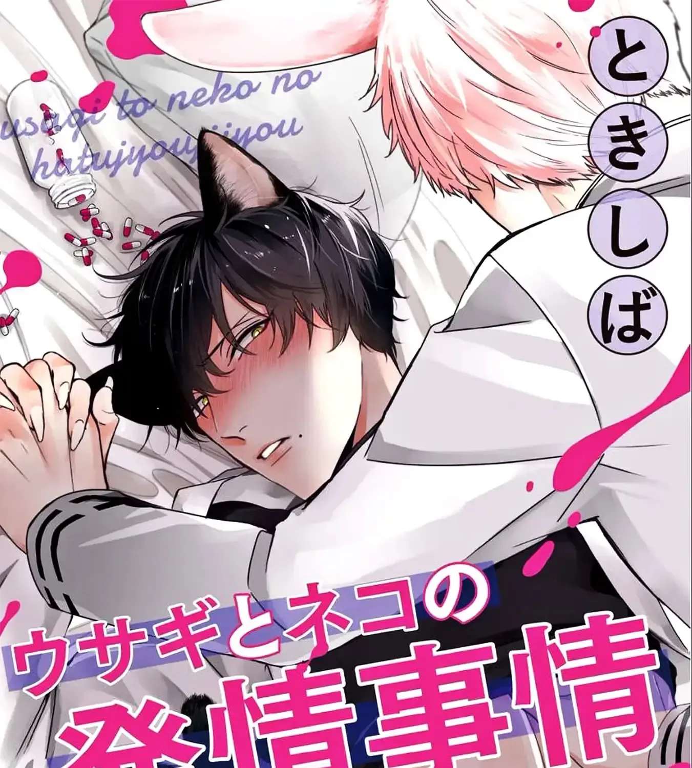 Usagi to Neko no Hatsujou Jijou Chapter 6 - page 2