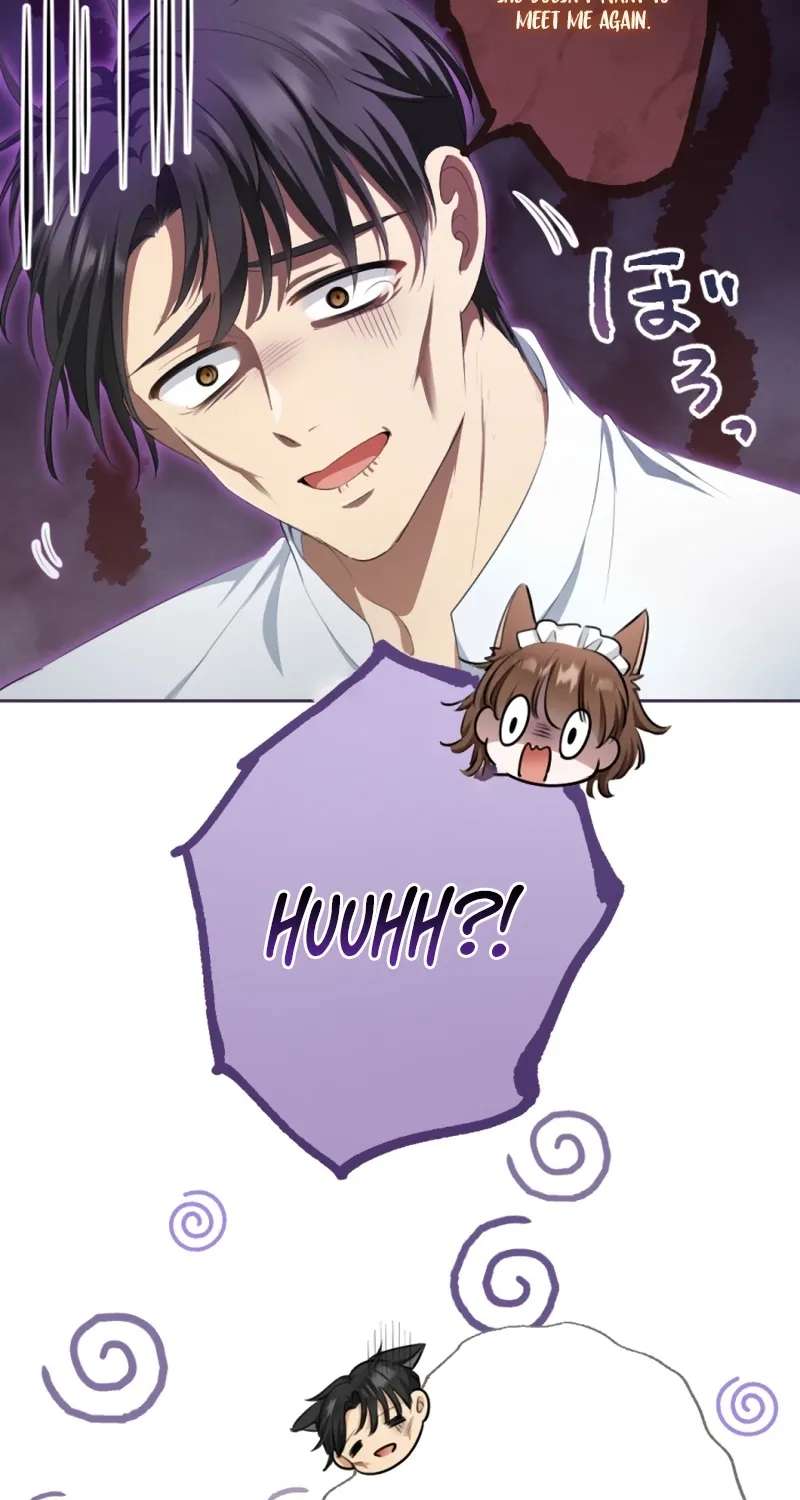 The Unhappy Poison Witch's Happy Marriage Chapter 19 - page 43