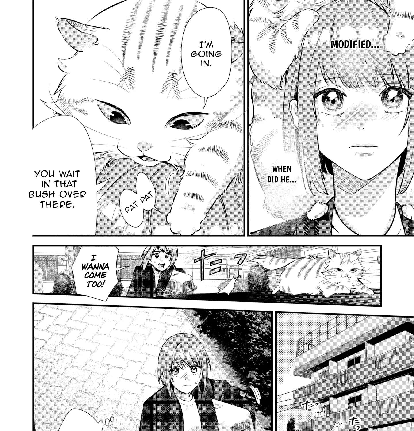 Is the Cat I Picked Up Really a Cat? Chapter 5.2 - page 13