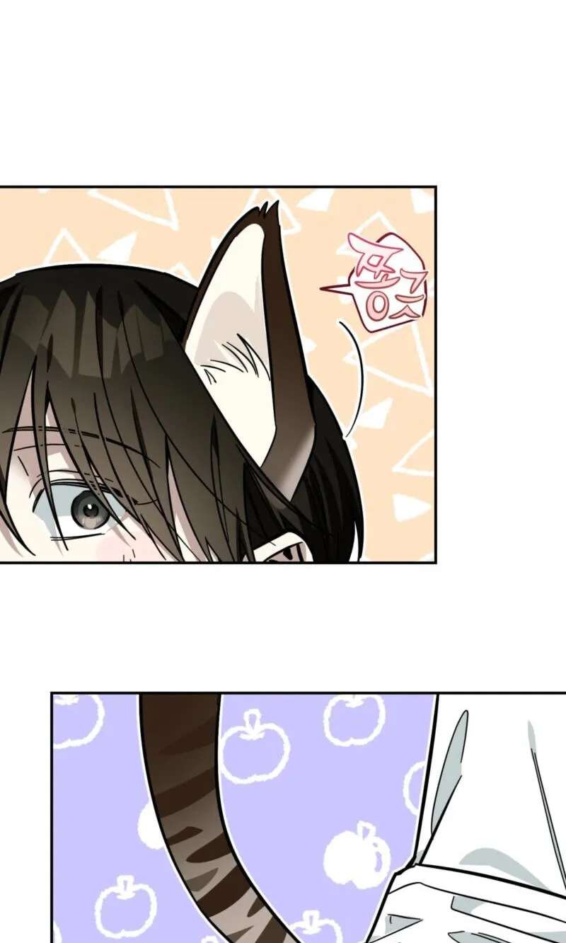 Give Birth to a Baby Wildcat for Me, Unless You Want to See Me Go Insane! Chapter 35 - page 27