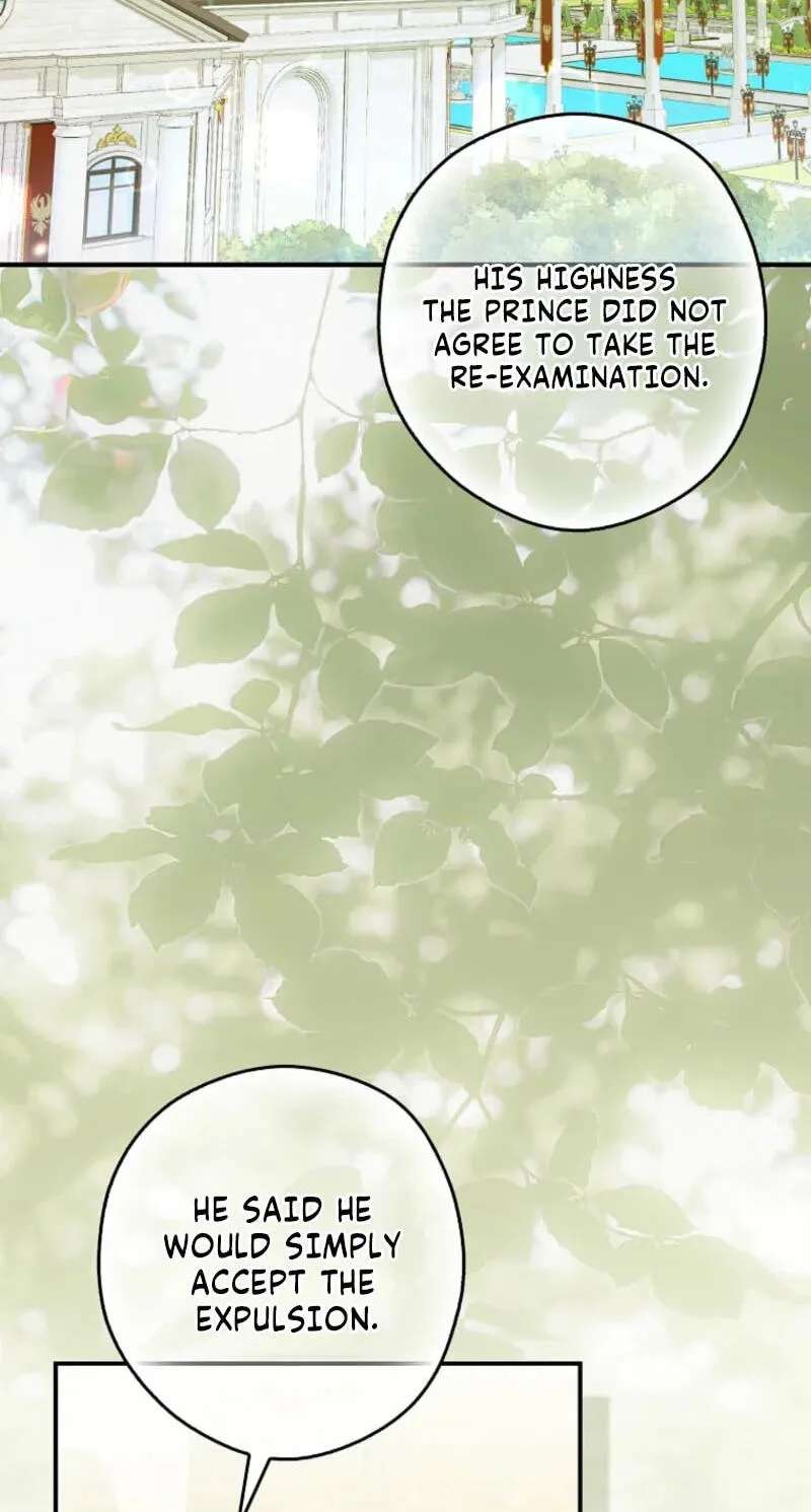 Cinderella's Pocket-Sized Protector Chapter 60 - page 24