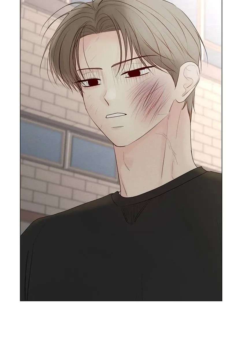 The Perfect Male Lead Chapter 62 - page 22