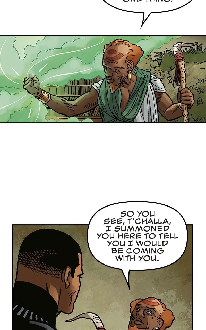 Black Panther:A Nation Under Our Feet Chapter 28 - page 23