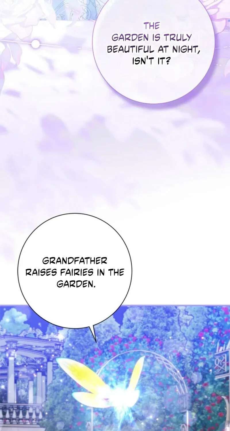 The Count's Beloved Contract Young Lady Chapter 44 - page 75