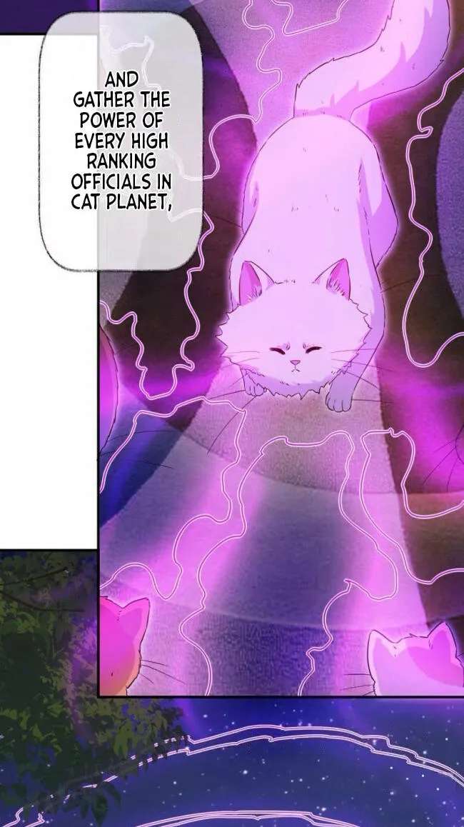 A Cat Has Nine Lives Chapter 47 - page 26