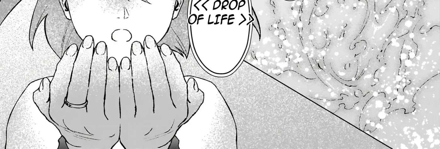 Ikinokori Renkinjutsushi wa Machi de Shizuka ni Kurashitai: Rinkan no Mahouyaku Chapter 24.2 - page 10