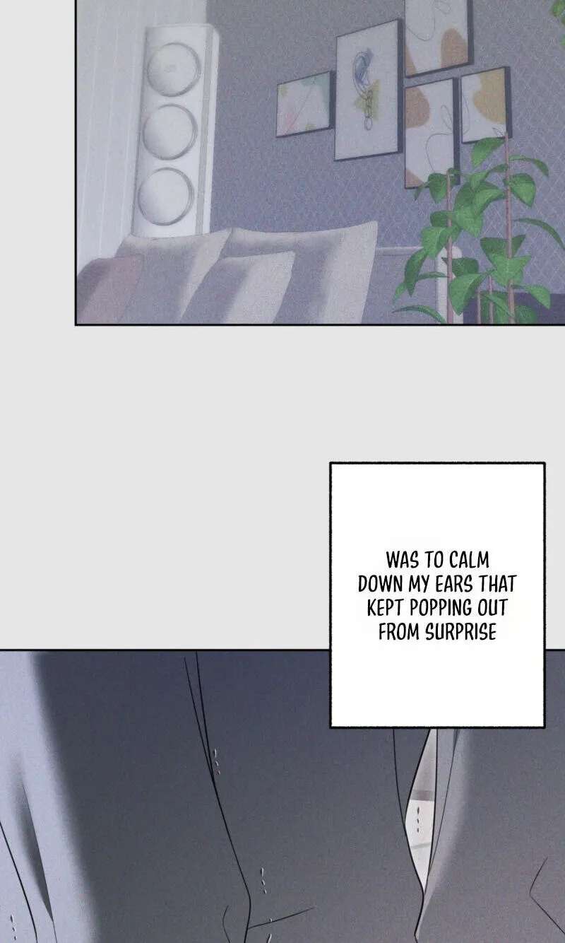 The Purrfect Match Chapter 44 - page 38