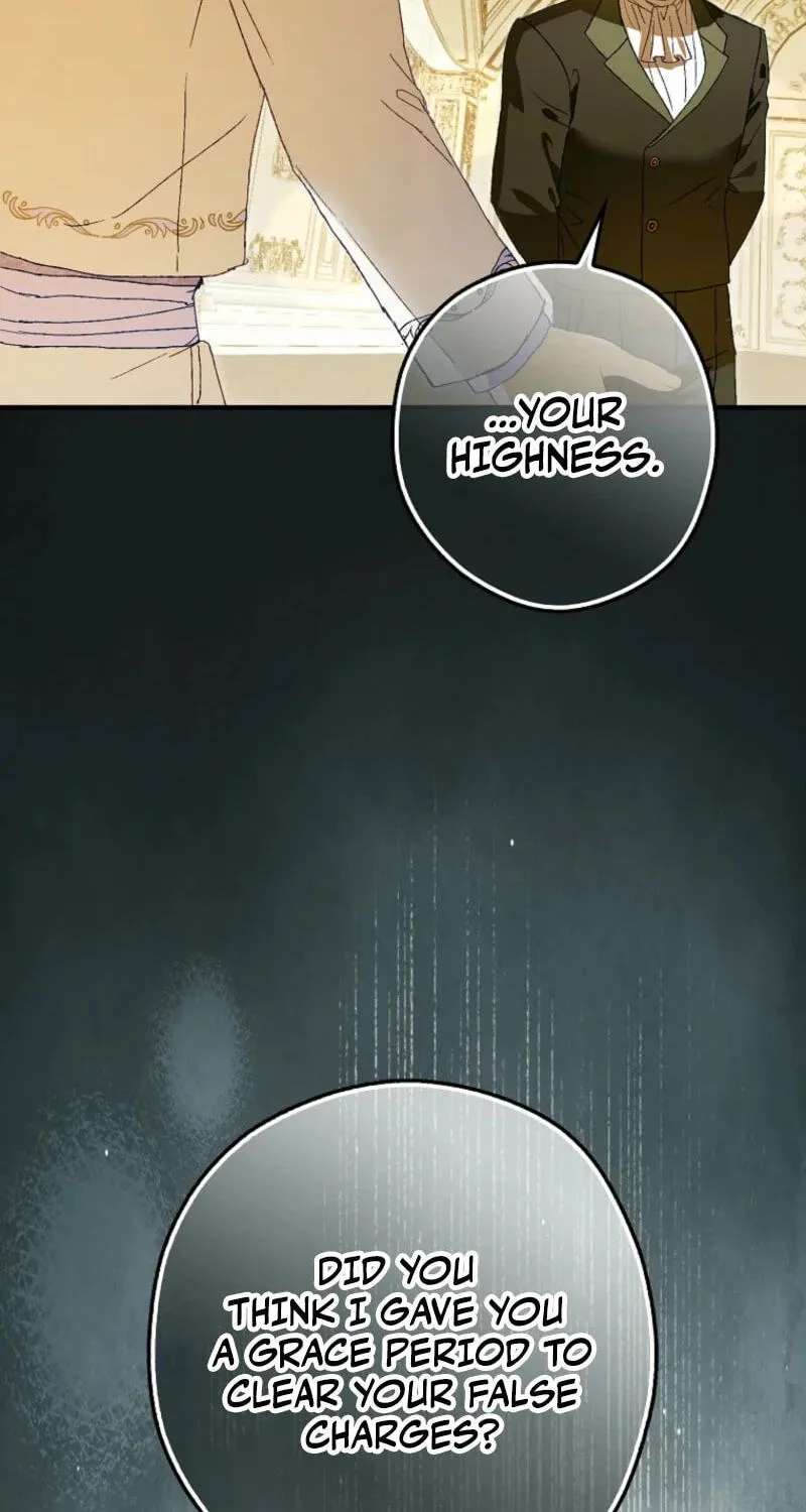 Cinderella's Pocket-Sized Protector Chapter 58 - page 28