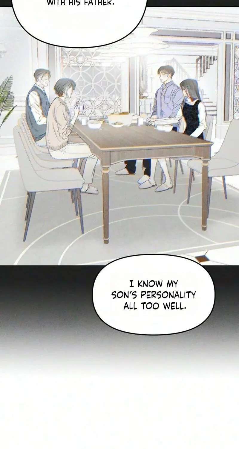 Marriage Subscription Lottery Chapter 14 - page 47