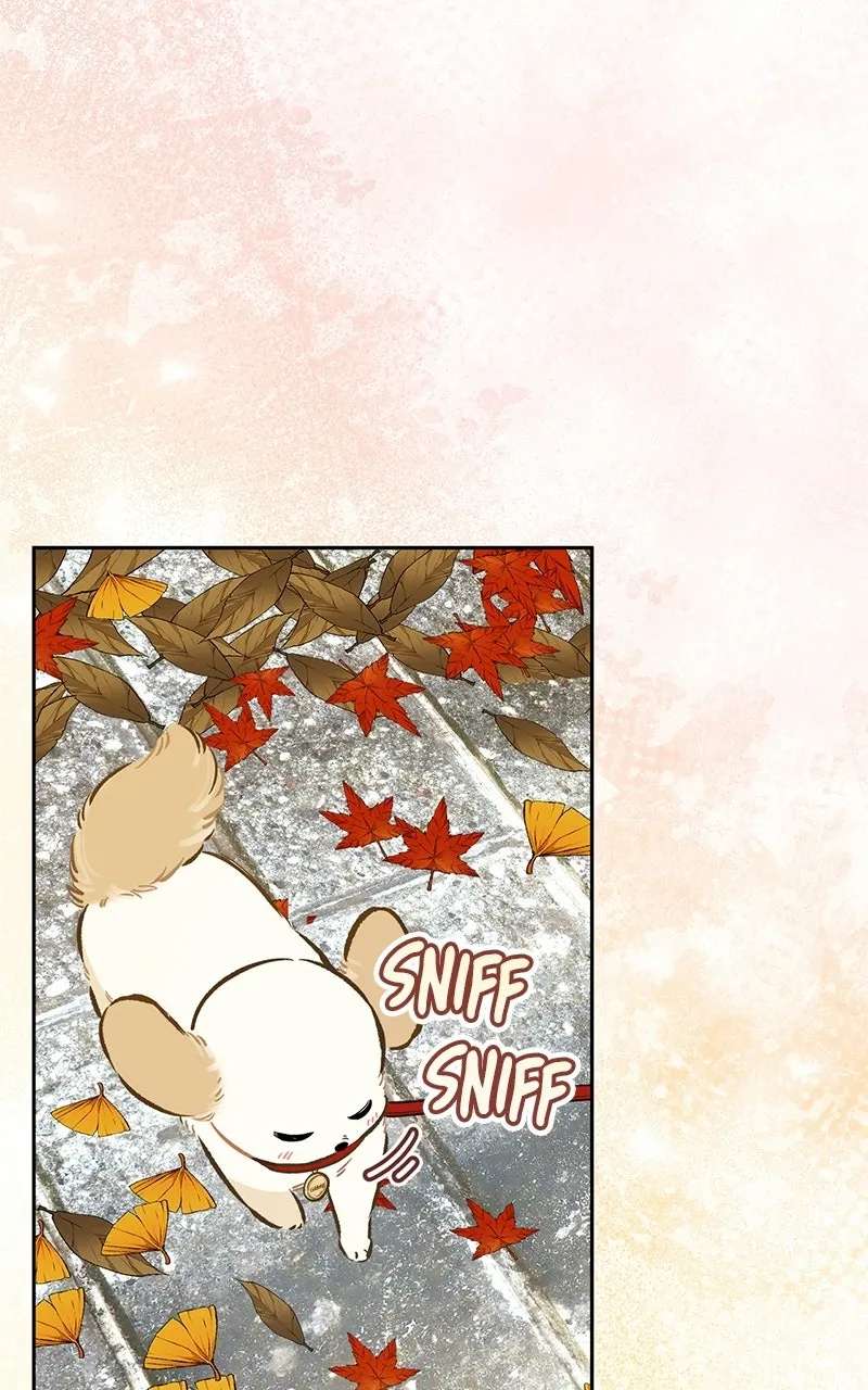 Woke Up as the CEO’s Dog Chapter 56 - page 3