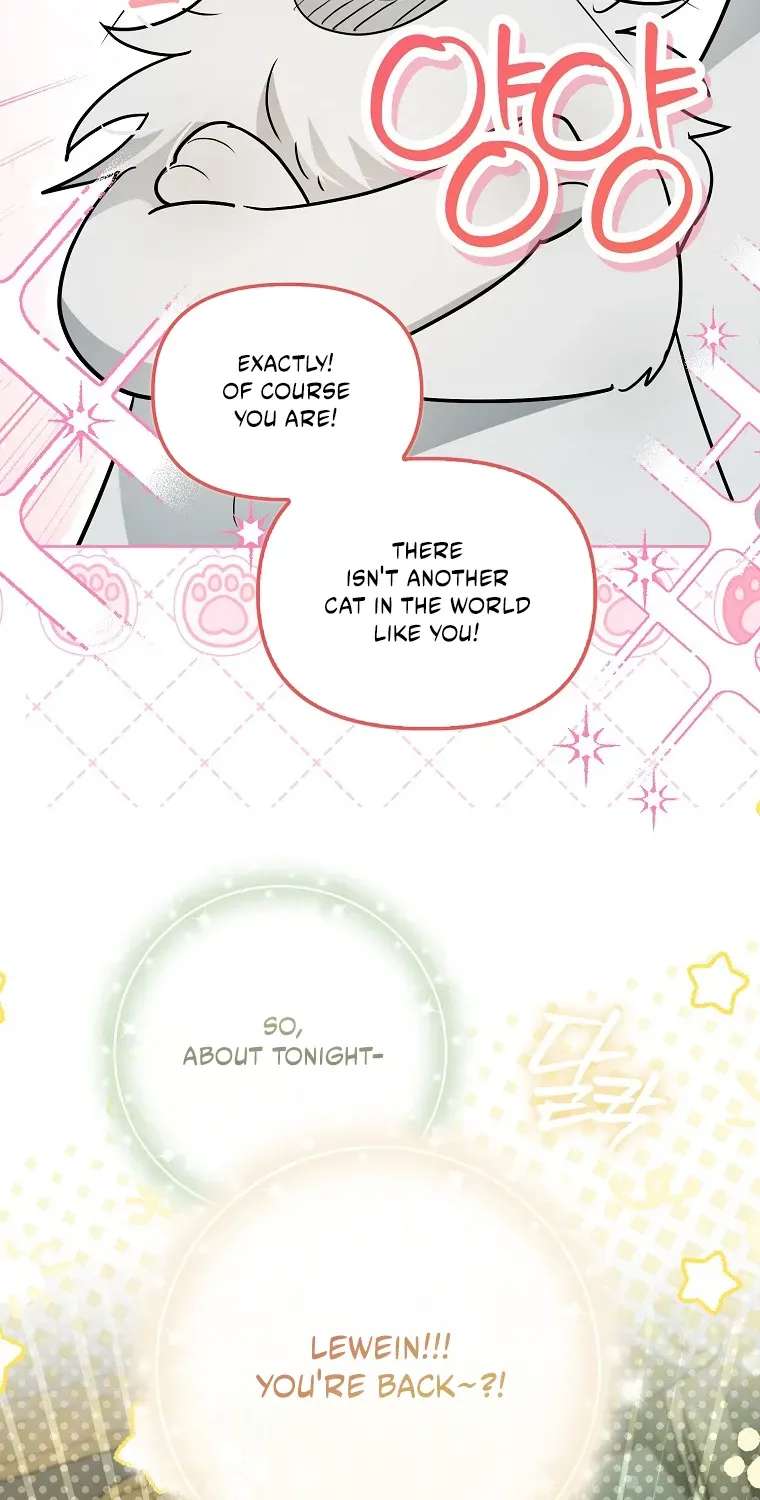Even Though I Transmigrated As A Villainess, I’d Rather Raise A Cat Chapter 93 - page 23