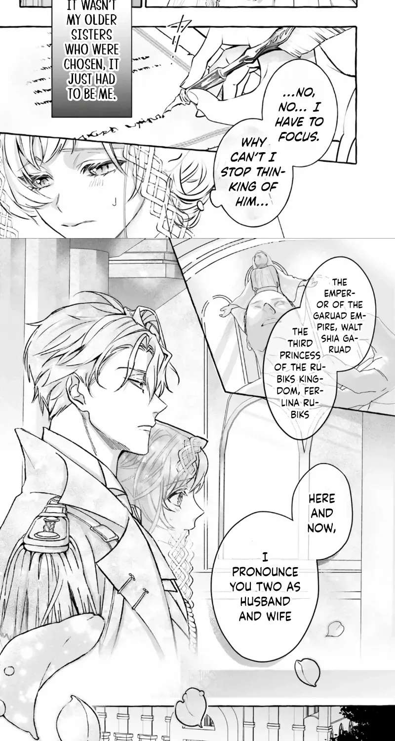 The Ruthless Emperor Is Doting on the Hostage Princess Chapter 1 - page 13