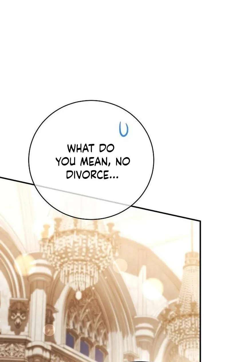 I Had My Position as a Wife Stolen by My Twin Chapter 20 - page 61