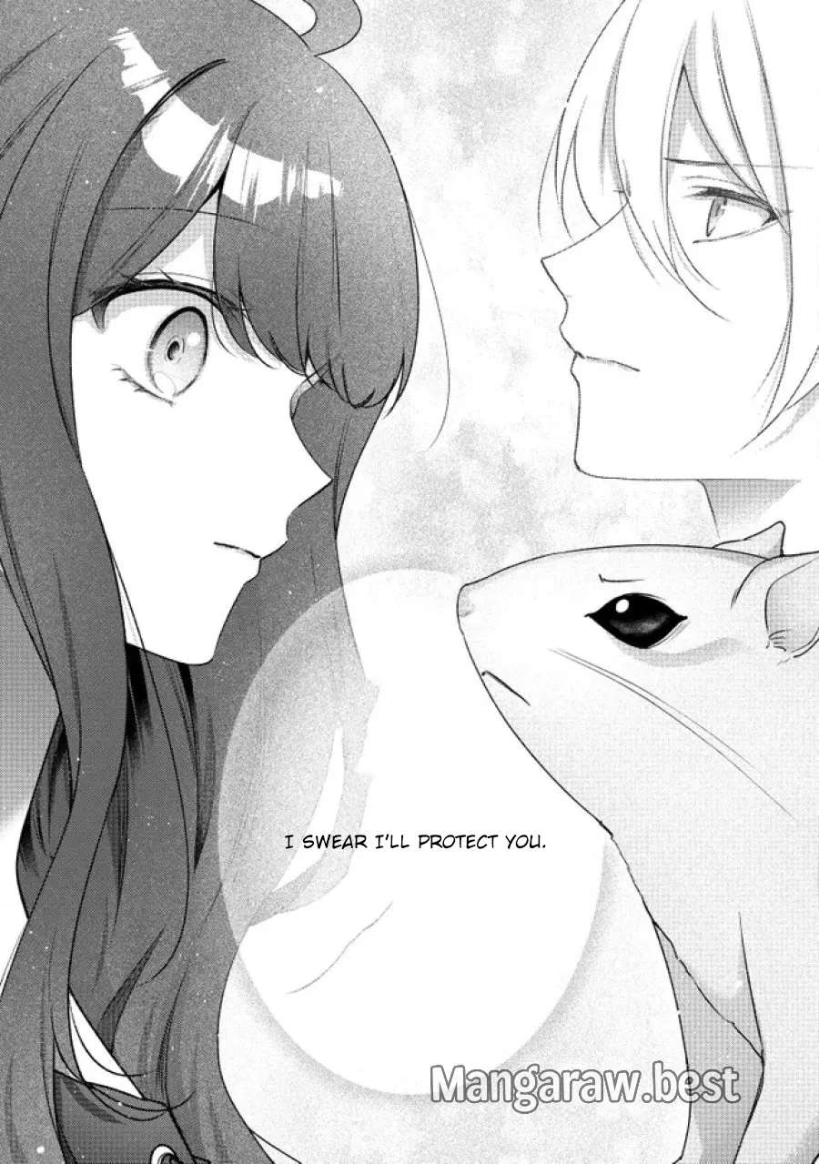 My Fiancé, Who Used to Hate Me, Turned into a Squirrel and Came to Me for Help. Chapter 4 - page 33