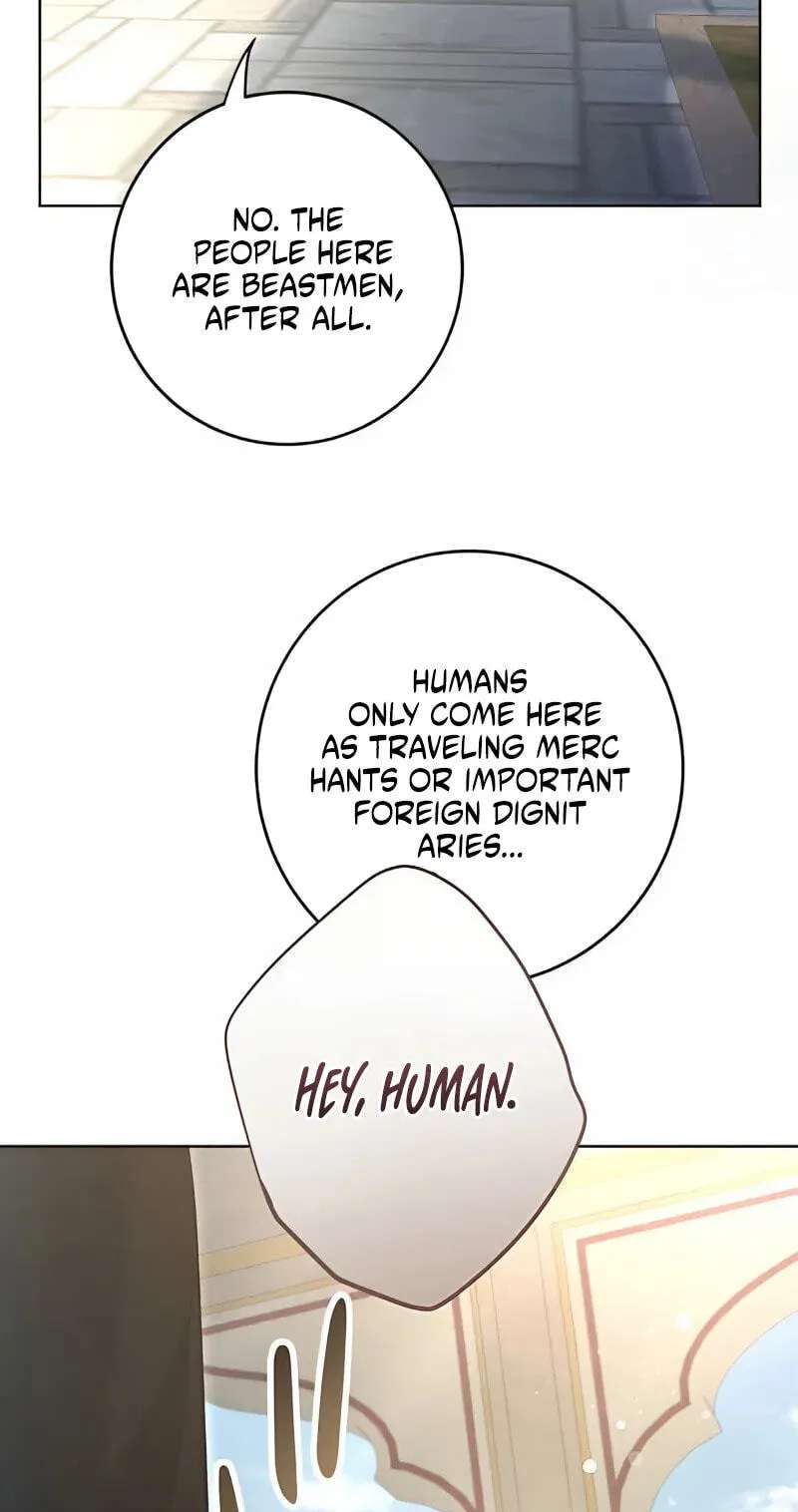 The Toy Doll Princess Weds in the Wilds Chapter 28 - page 13