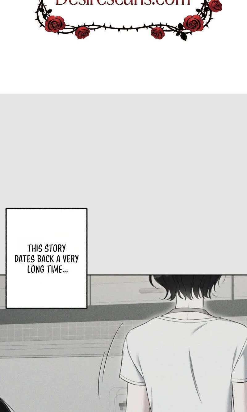 The Purrfect Match Chapter 44 - page 2