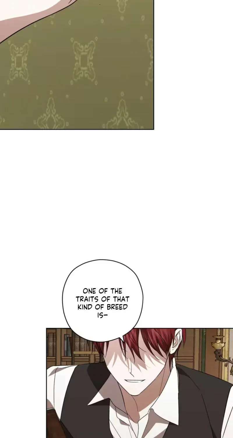 Dear Anonymous Sponsor Chapter 63 - page 42