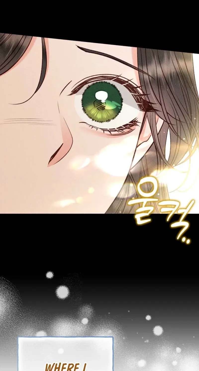 Dear My Rude Darling With Multiple Personalities Chapter 73 - page 49