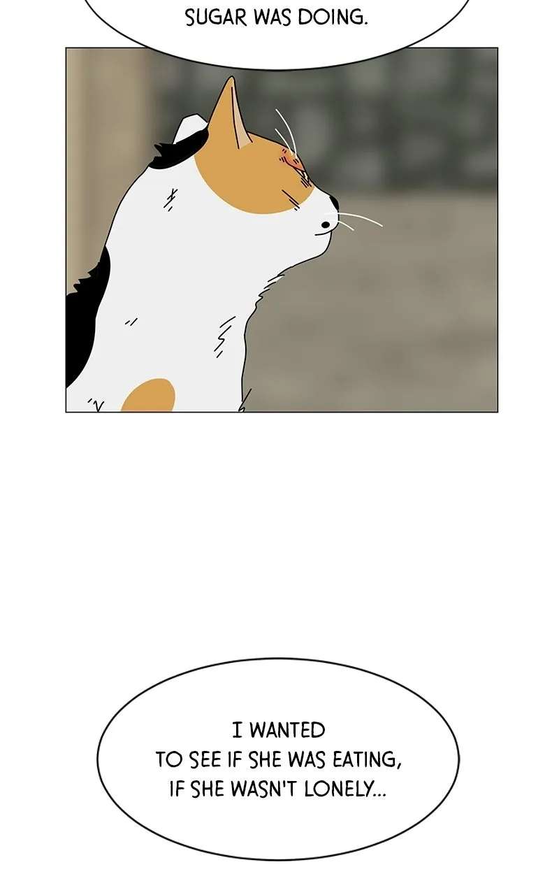 Sol in Wonderland Chapter 16 - page 54