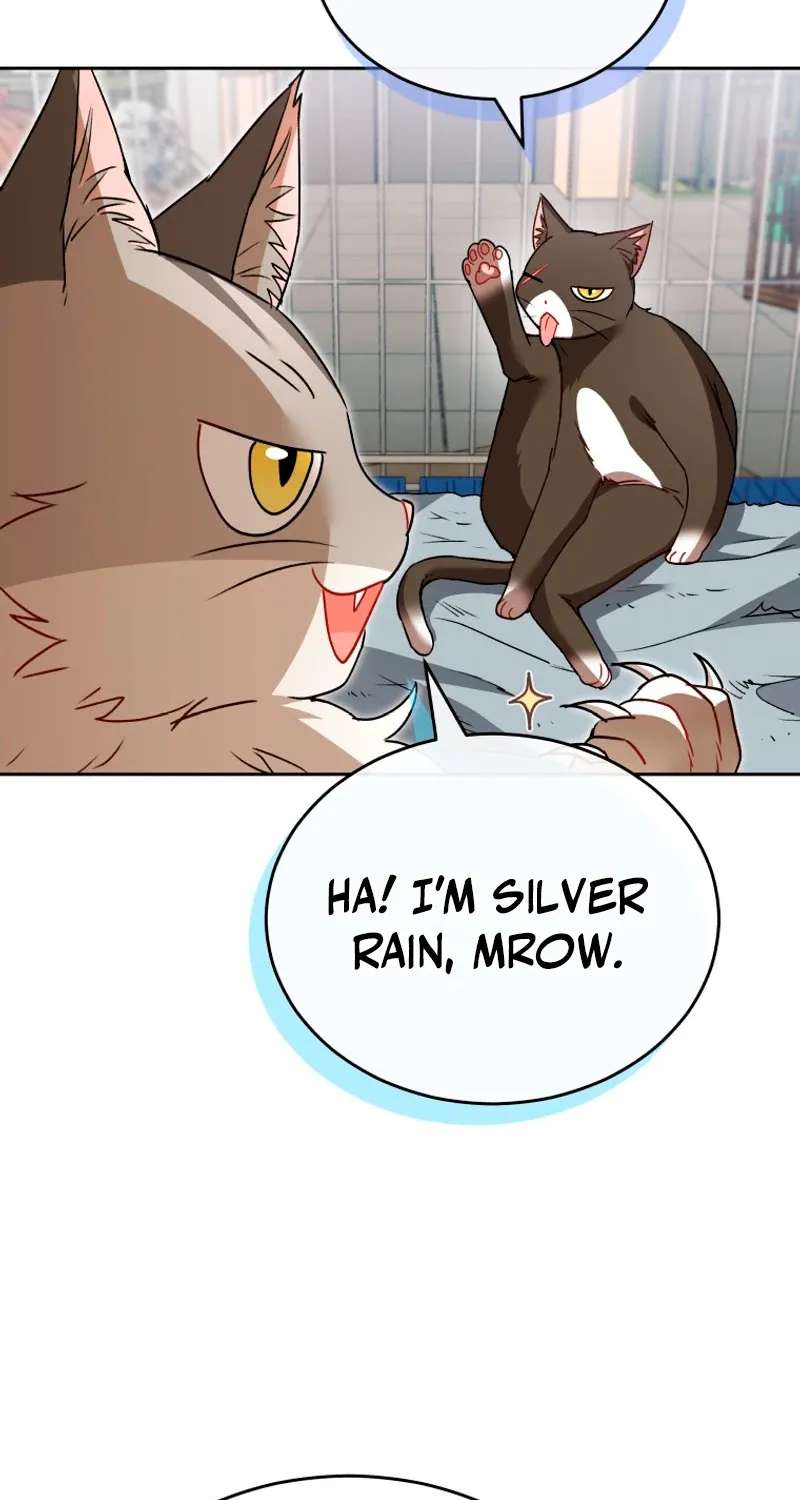 Hello! Veterinarian! Chapter 146 - page 36