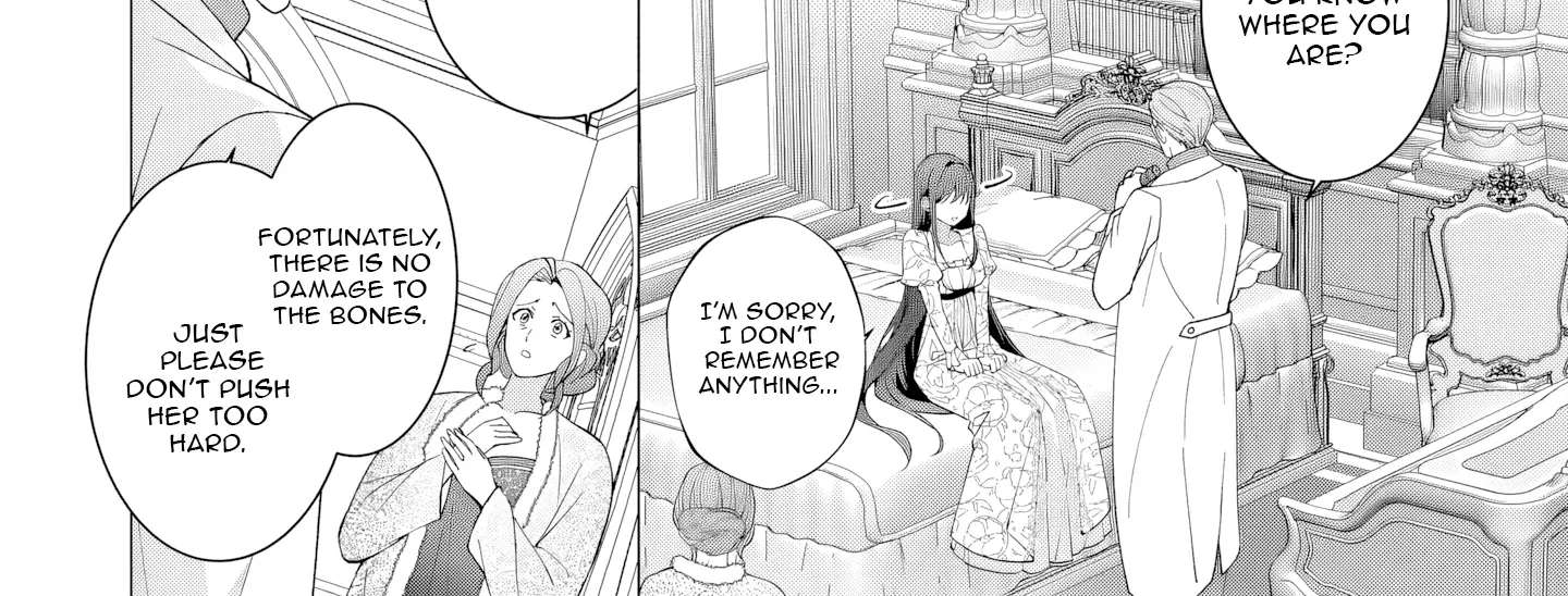 I Lost My Memories, so Did My Feelings for You Chapter 1 - page 17